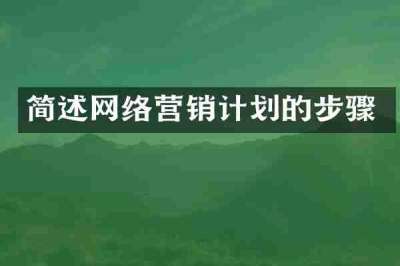 简述网络营销计划的步骤