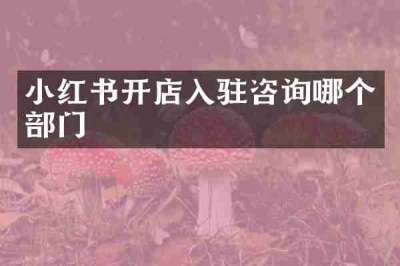 小红书开店入驻咨询哪个部门