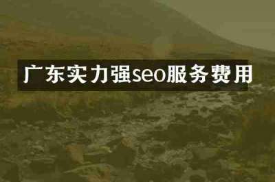 广东实力强seo服务费用