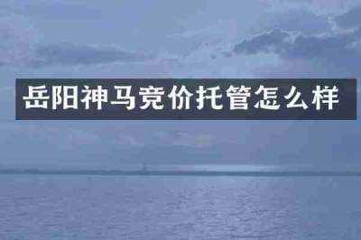 岳阳神马竞价托管怎么样