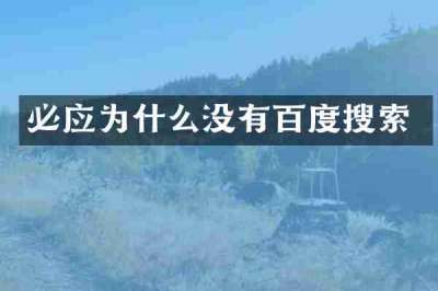 必应为什么没有百度搜索