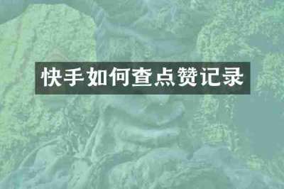 快手如何查点赞记录