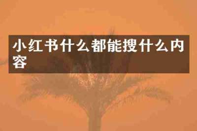 小红书什么都能搜什么内容