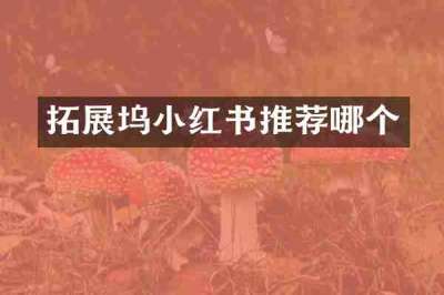 拓展坞小红书推荐哪个