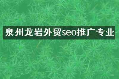 泉州龙岩外贸seo推广专业
