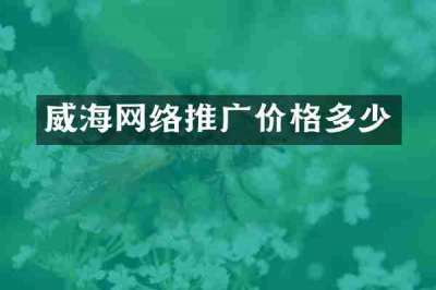 威海网络推广价格多少