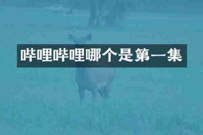 哔哩哔哩哪个是第一集