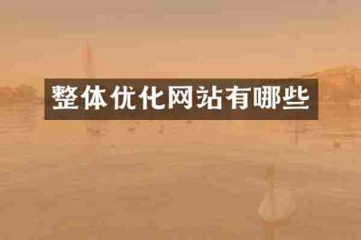 整体优化网站有哪些