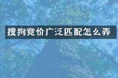 搜狗竞价广泛匹配怎么弄