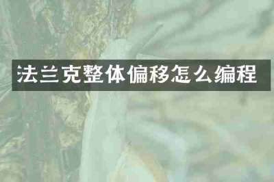法兰克整体偏移怎么编程
