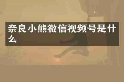 奈良小熊微信视频号是什么