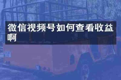 微信视频号如何查看收益啊