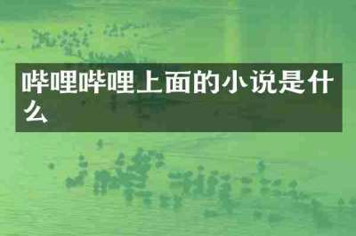 哔哩哔哩上面的小说是什么