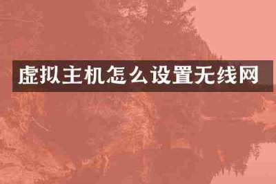 虚拟主机怎么设置无线网