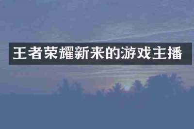 王者荣耀新来的游戏主播