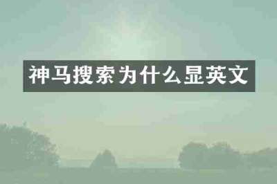 神马搜索为什么显英文