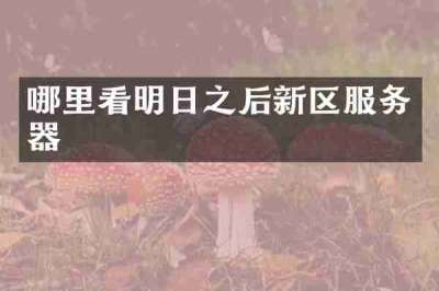 哪里看明日之后新区服务器
