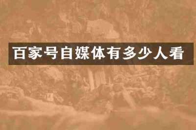 百家号自媒体有多少人看
