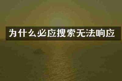 为什么必应搜索无法响应