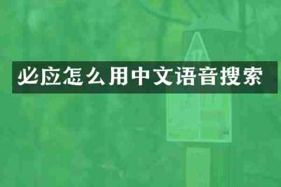 必应怎么用中文语音搜索