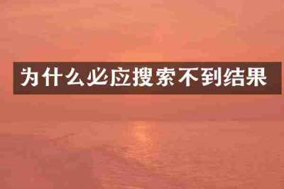 为什么必应搜索不到结果