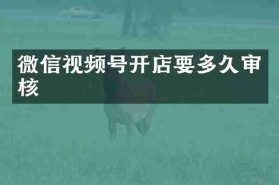 微信视频号开店要多久审核