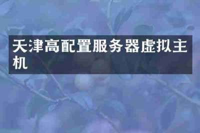 天津高配置服务器虚拟主机