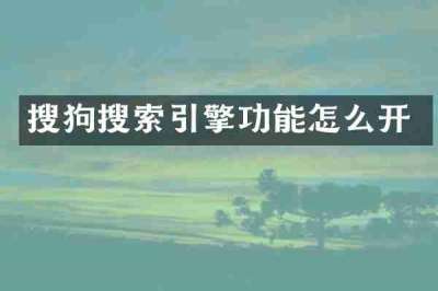 搜狗搜索引擎功能怎么开