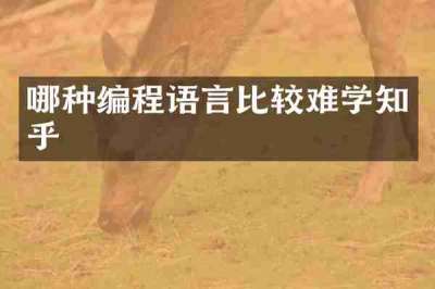 哪种编程语言比较难学知乎
