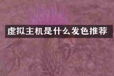 虚拟主机是什么发色推荐