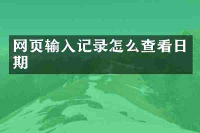 网页输入记录怎么查看日期