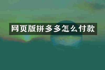网页版拼多多怎么付款