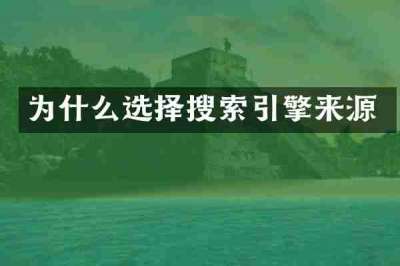 为什么选择搜索引擎来源