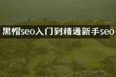 黑帽seo入门到精通新手seo