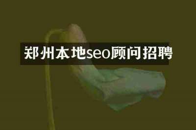 郑州本地seo顾问招聘