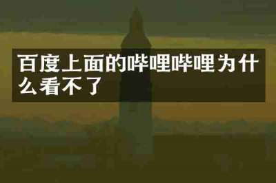 百度上面的哔哩哔哩为什么看不了