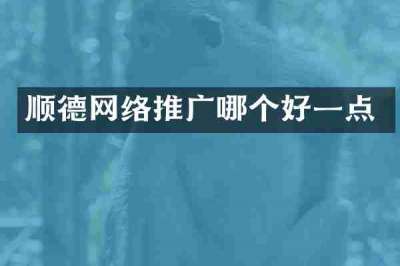 顺德网络推广哪个好一点