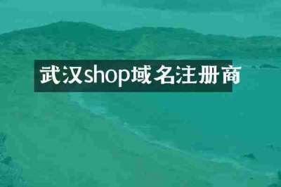 武汉shop域名注册商