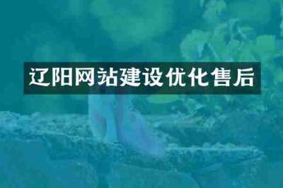 辽阳网站建设优化售后