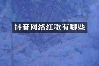 抖音网络红歌有哪些