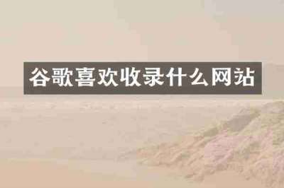谷歌喜欢收录什么网站