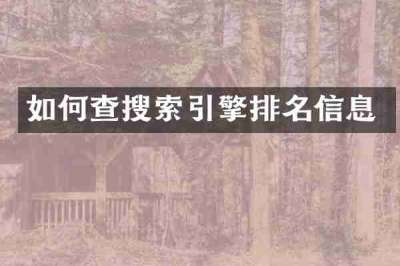 如何查搜索引擎排名信息