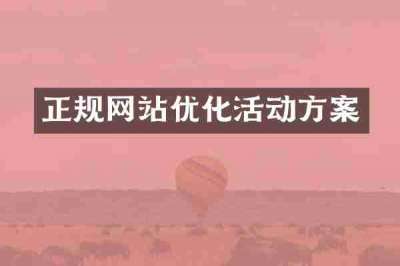 正规网站优化活动方案