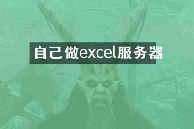 自己做excel服务器