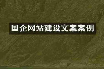 国企网站建设文案案例