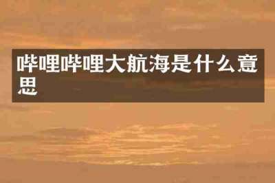 哔哩哔哩大航海是什么意思