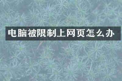 电脑被限制上网页怎么办