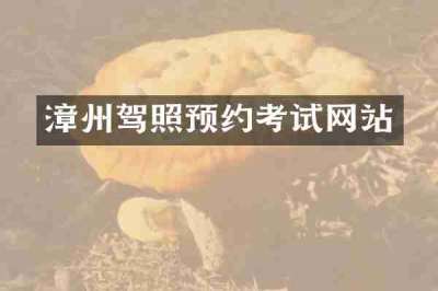 漳州驾照预约考试网站