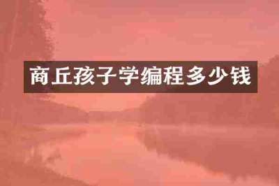 商丘孩子学编程多少钱