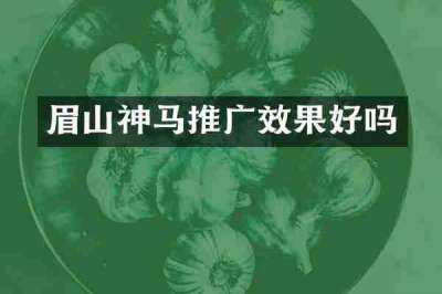 眉山神马推广效果好吗